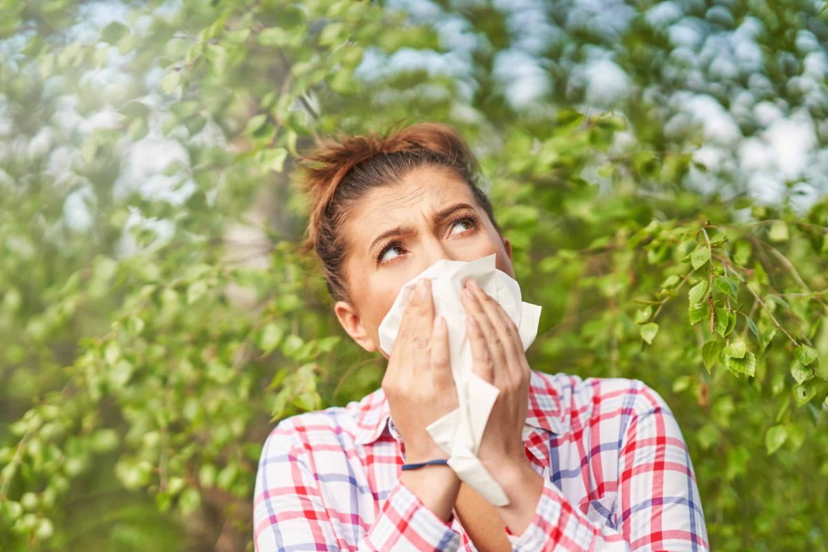 allergy season sneezing